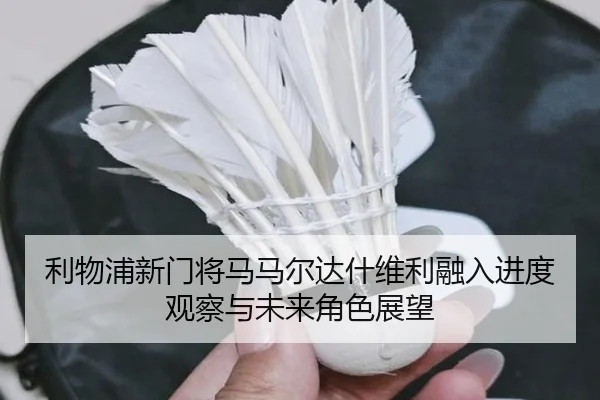 利物浦新门将马马尔达什维利融入进度观察与未来角色展望 | kaiyun